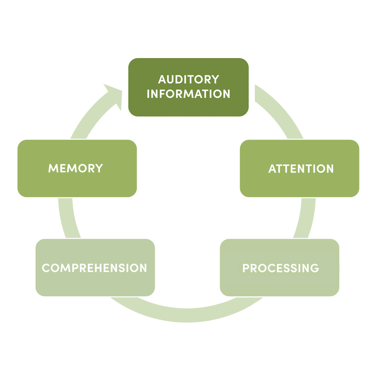 Auditory Processing Evaluations Speech Hearing Associates